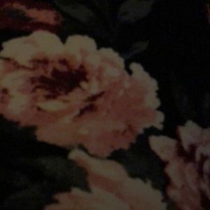 Meet your Posher, Annie